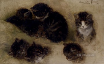  Henri Pintura al %C3%B3leo - Estudios de gatitos animal gato Henriette Ronner Knip